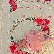 Lyric joined the competition — help win amazing prizes! baby, infant, pink_clothing, blanket, floral_pattern, flower_crown, milestone_blanket, days, weeks, months, cute, lying_down, portrait, decorative, soft_texture, curious_expression, indoor, child, newborn, celebration