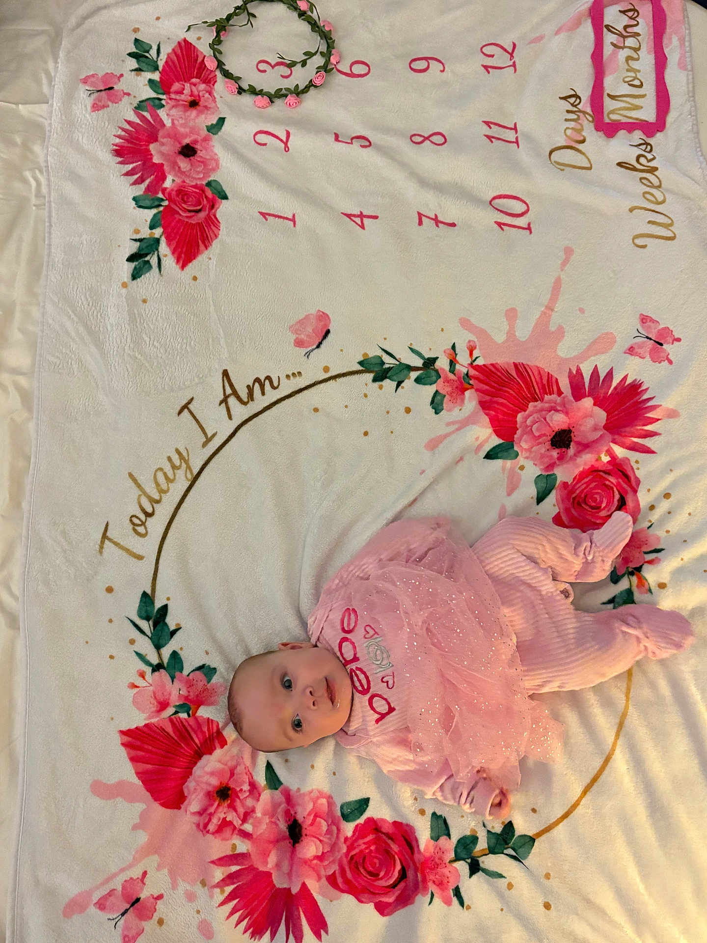 Lyric joined the competition — help win amazing prizes! baby, infant, pink_clothing, blanket, floral_pattern, flower_crown, milestone_blanket, days, weeks, months, cute, lying_down, portrait, decorative, soft_texture, curious_expression, indoor, child, newborn, celebration
