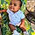 Kaden