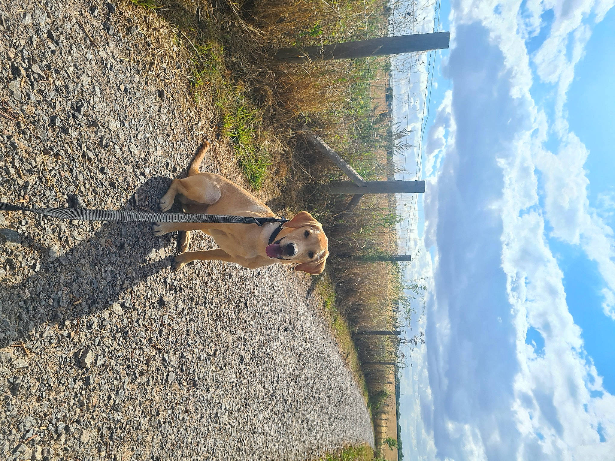 Elsie is registered to the contest to win money with this photo: cloud, door, fawn, freezing, ice_cap, landscape, massif, plant, reflection, rock, shadow, sky, slope, snow, sunglasses, tree, trunk, wildlife, winter, wood