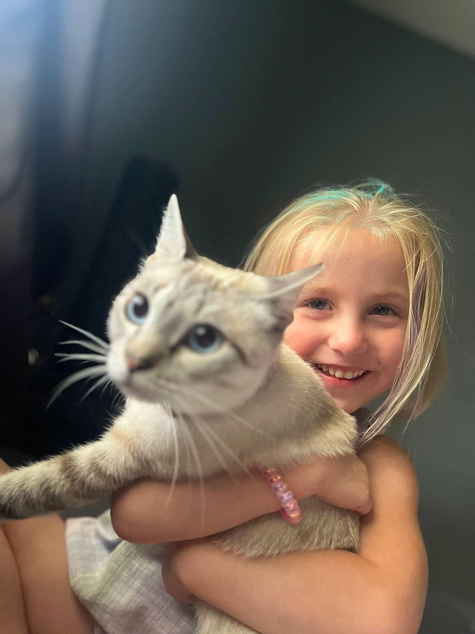 Emerie joined the competition — help win amazing prizes! arm, blond, carnivore, cat, child, domestic_short_haired_cat, ear, fawn, felidae, finger, flash_photography, gesture, hand, happy, iris, joy, person, skin, small_to_medium_sized_cats, smile