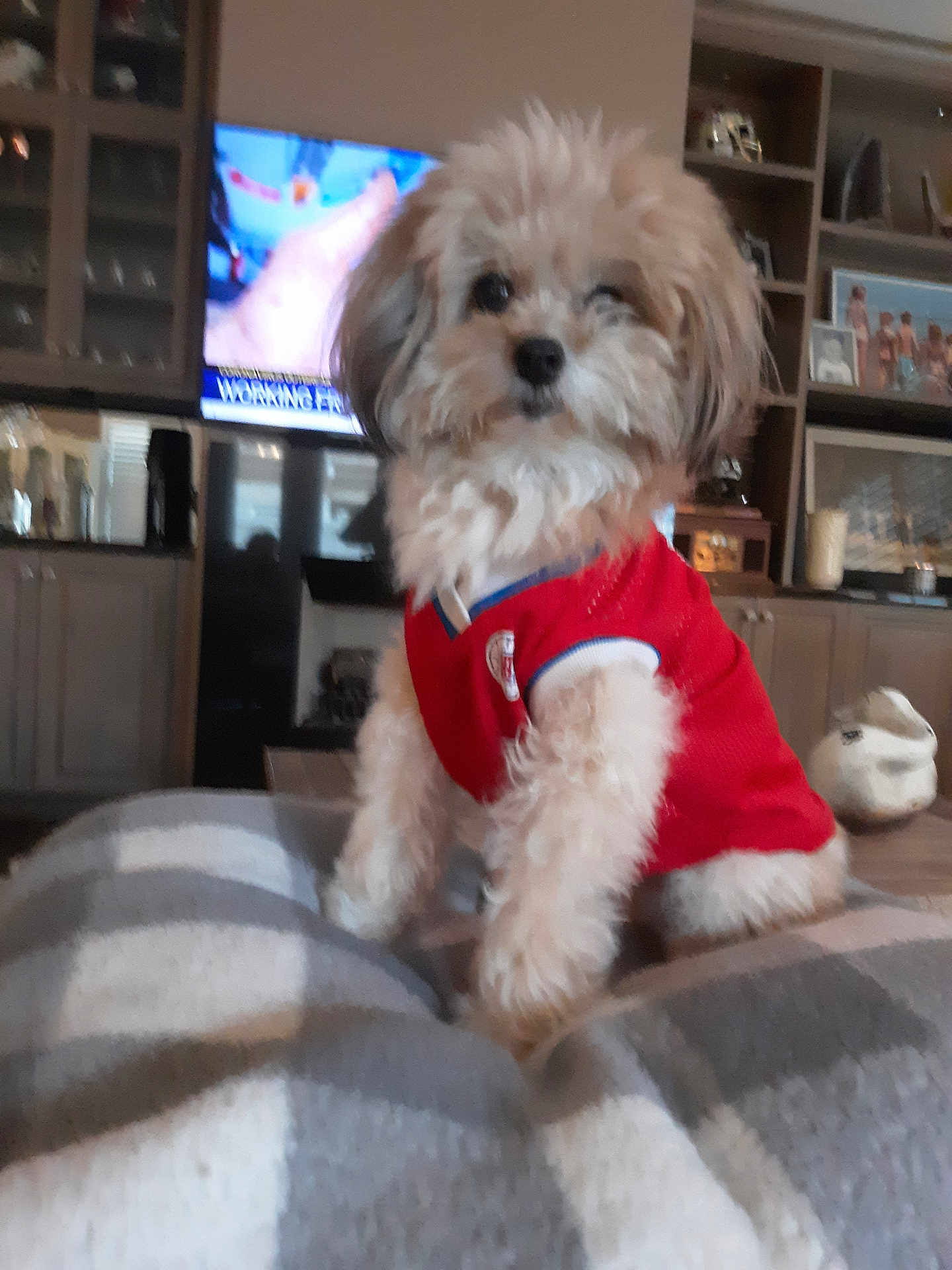 Lola