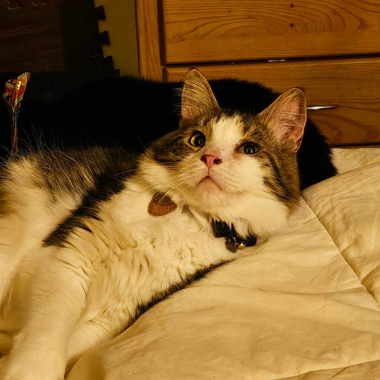 Walter