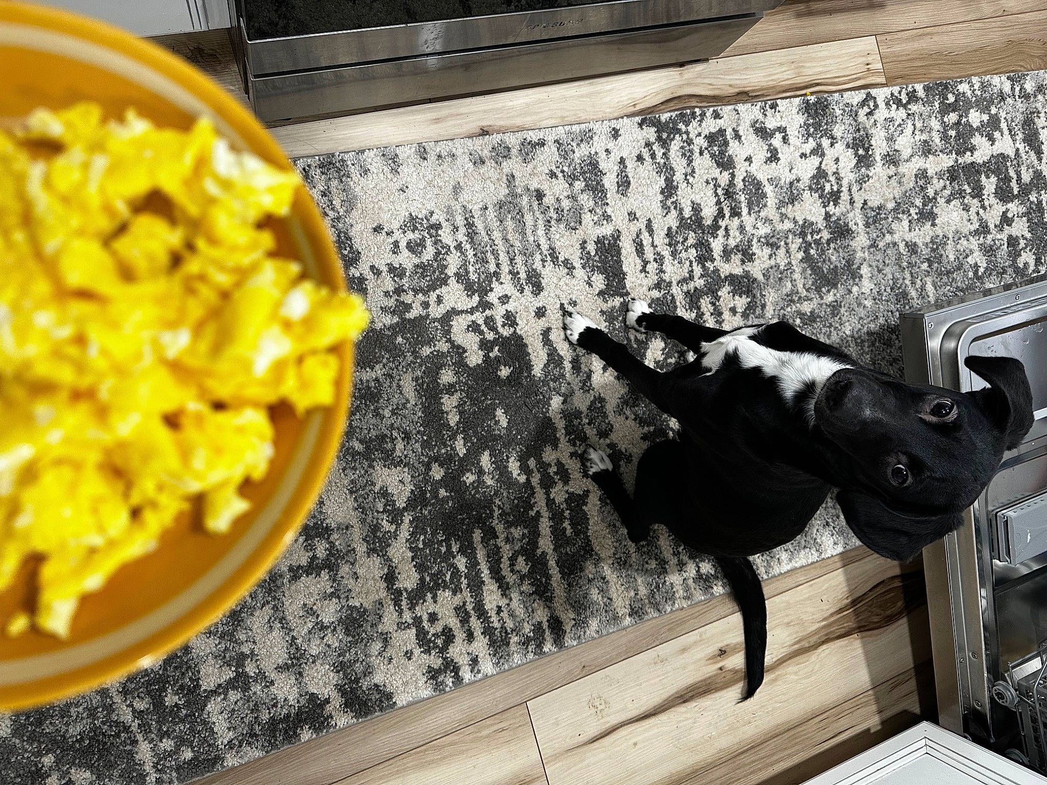 Louis is registered to the contest to win money with this photo: american_food, art, comfort_food, cuisine, dish, flooring, food, hardwood, ingredient, italian_food, kettle_corn, metal, produce, recipe, side_dish, snack, staple_food, tableware, tail, wood