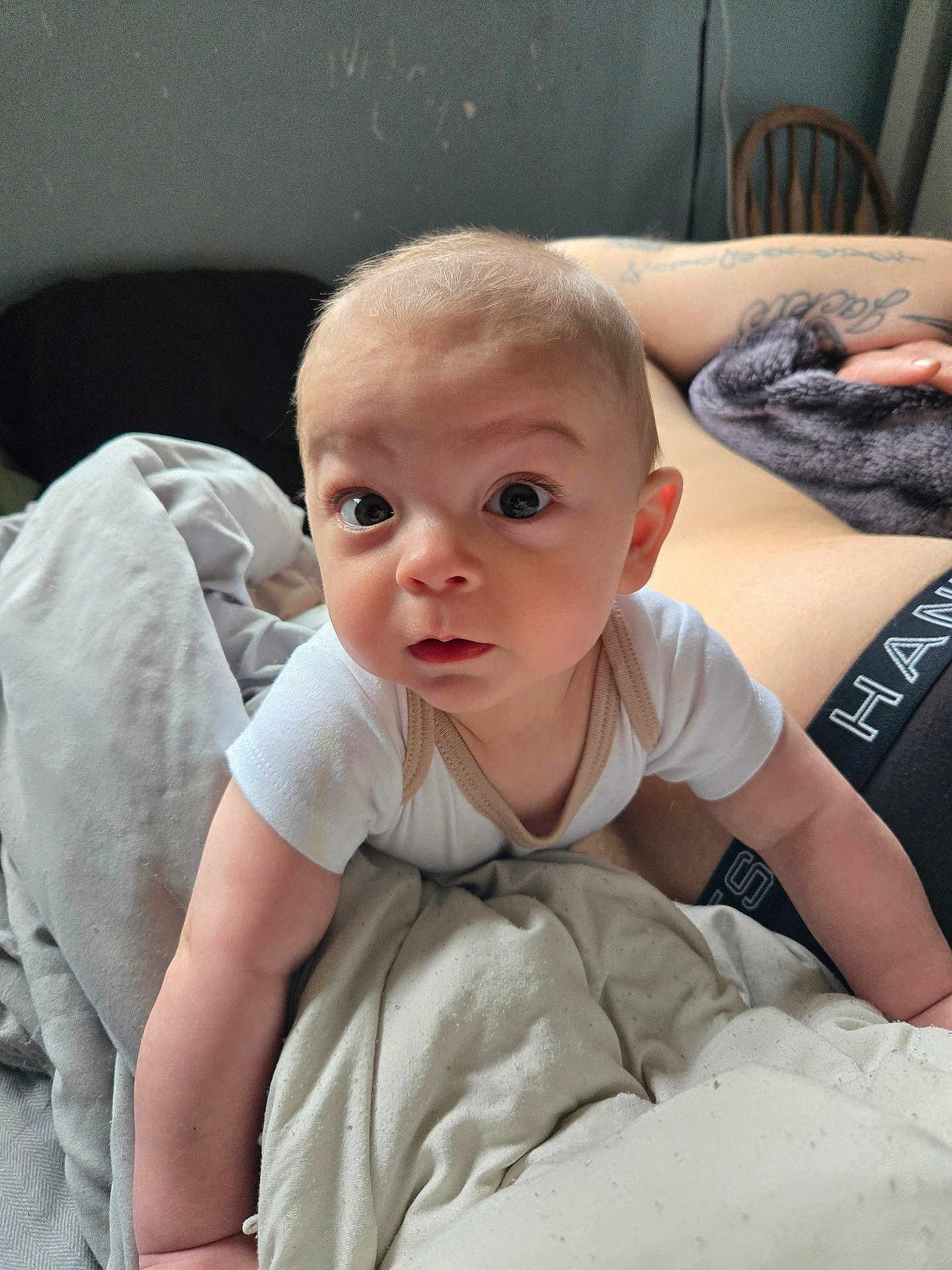 Finn