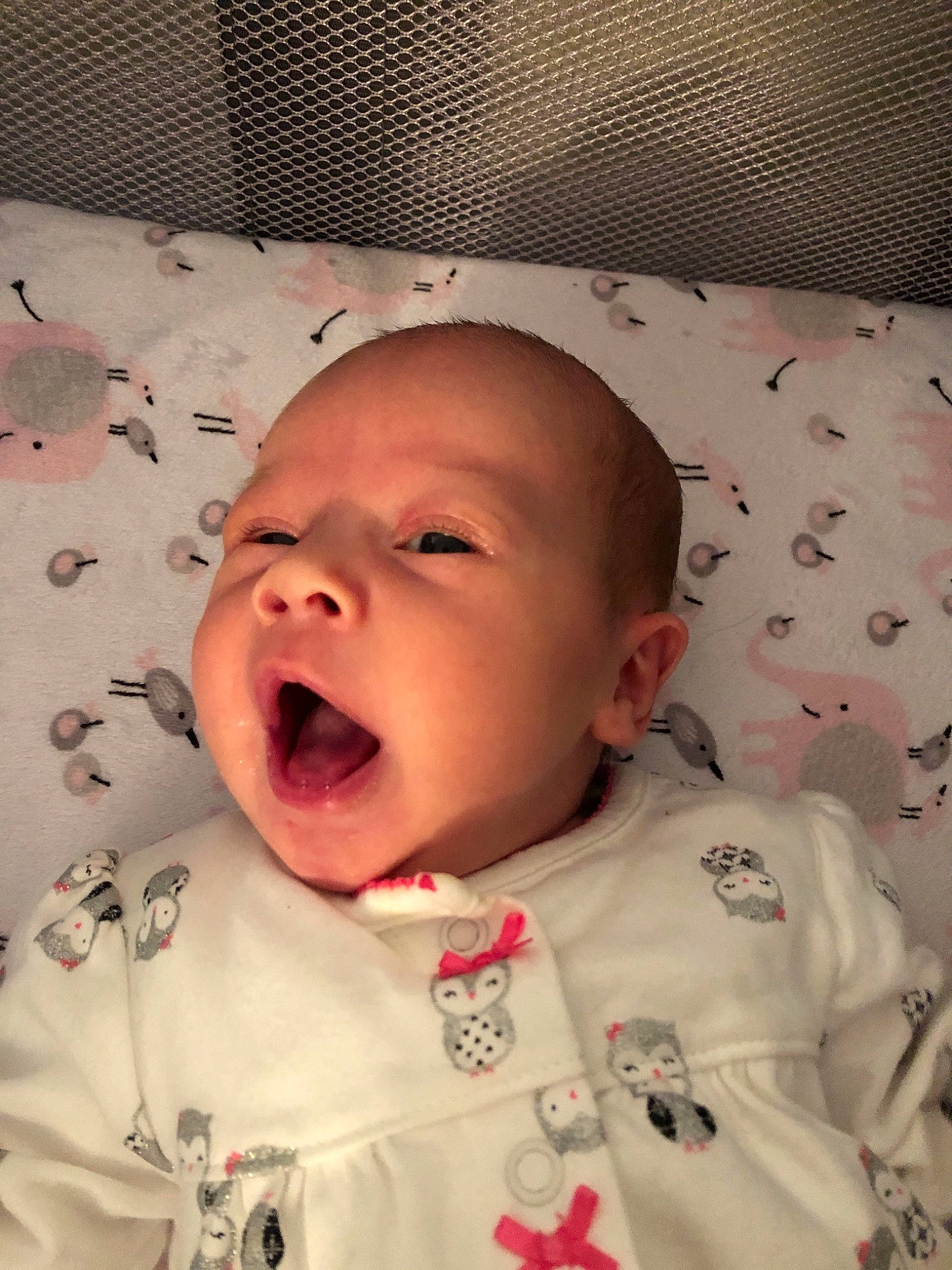 Carleigh joined the competition — help win amazing prizes! cheek, child, ear, eye, face, facial_expression, finger, forehead, girl, head, infant, lip, mouth, nose, person, product, skin, smile, toddler, yawn