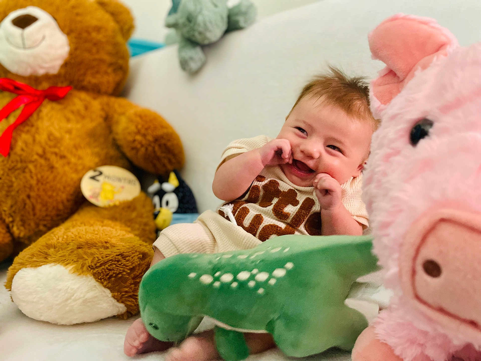 Micah joined the competition — help win amazing prizes! baby, infant, smiling, stuffed_animal, teddy_bear, pig, dinosaur, plush_toy, couch, indoor, cute, child, happy, soft_toy, furniture, cozy, playful, two_months, person, portrait