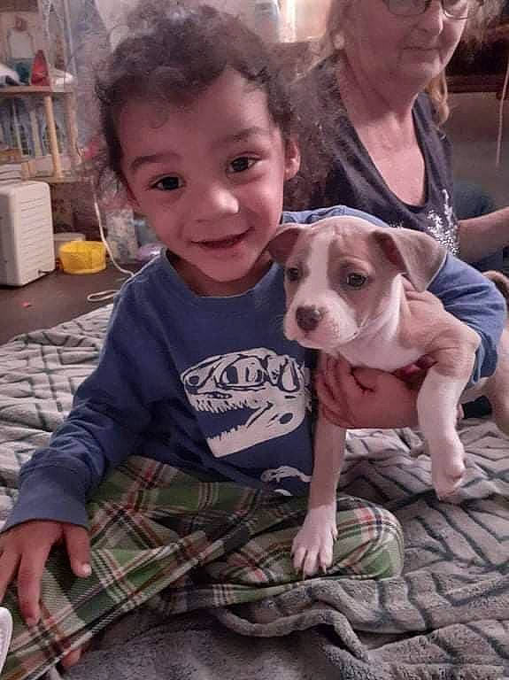 King is registered to the contest to win money with this photo: baby_toddler_clothing, canidae, carnivore, child, companion_dog, dog, dog_breed, eyewear, fawn, fun, happy, headwear, joy, pattern, person, plaid, shelf, sitting, smile, t_shirt