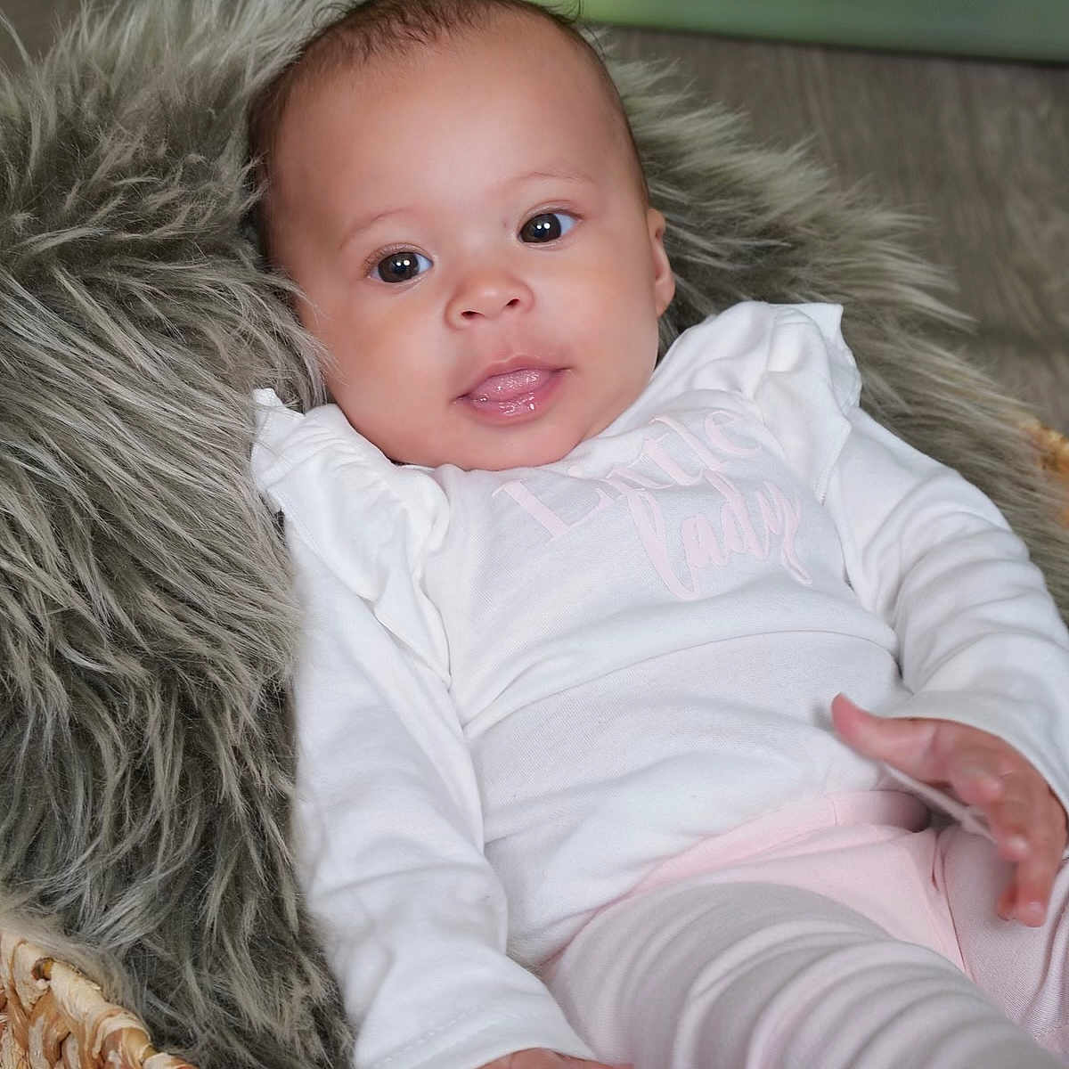 Alani