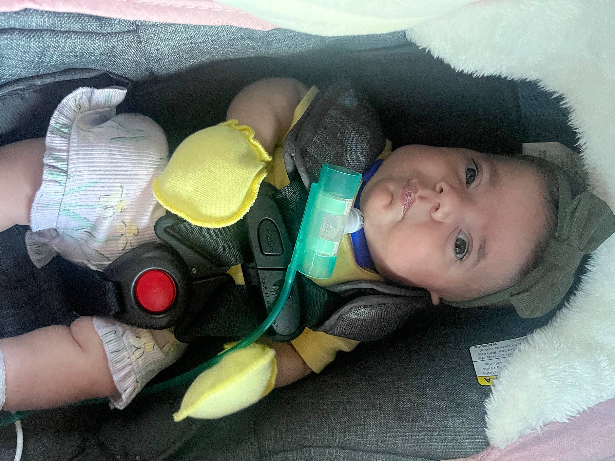 Sophia is registered to the contest to win money with this photo: auto_part, baby, baby_carriage, baby_products, car_seat, child, comfort, family_car, human_leg, linens, nap, person, personal_protective_equipment, plastic, sitting, sleep, stuffed_toy, thigh, toddler, toy
