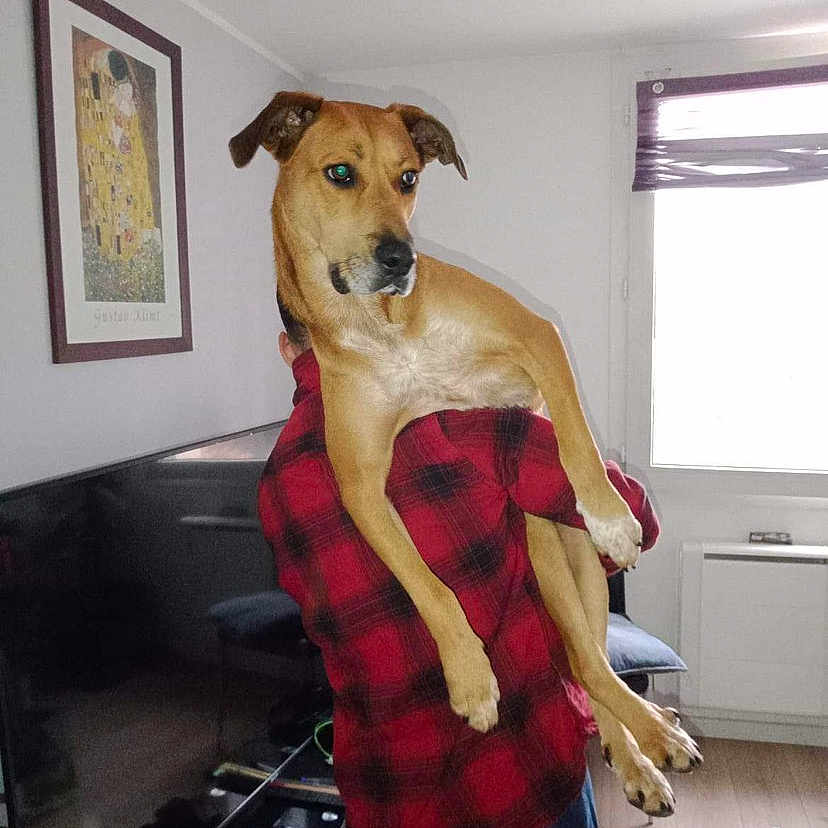 Nala
