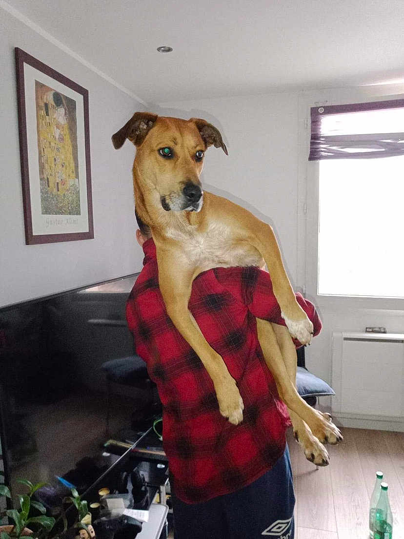 Nala