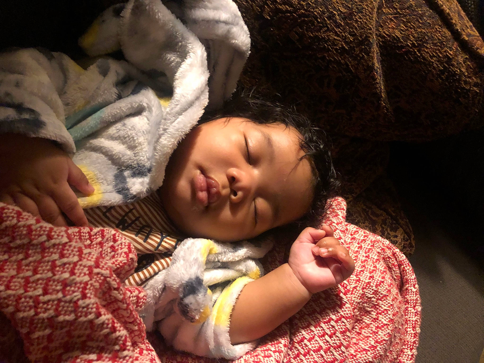 Sebashtian joined the competition — help win amazing prizes! adaptation, baby, bedtime, cheek, child, comfort, darkness, flash_photography, fun, fur, grass, hand, happy, linens, nap, nose, person, portrait_photography, sitting, skin