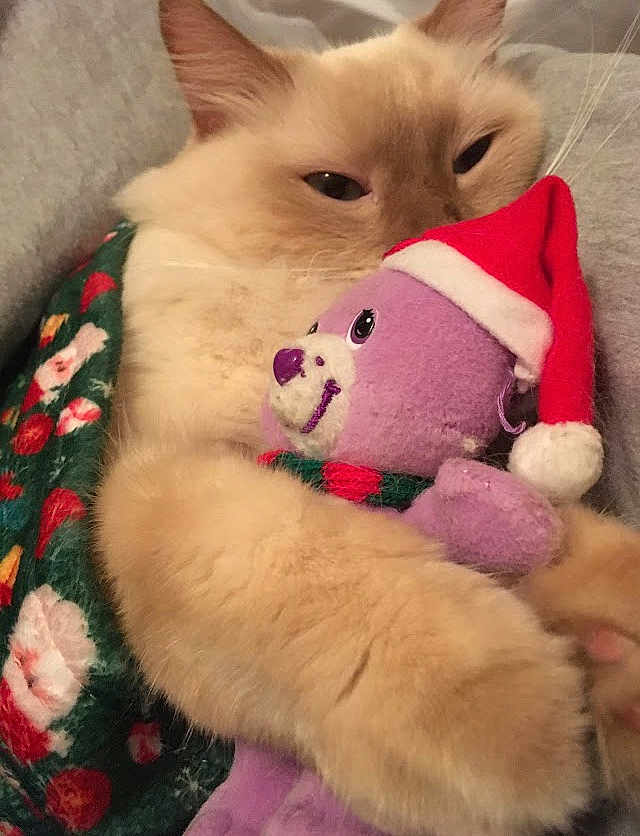 Fluffy