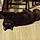Hoshi