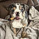 Zoey