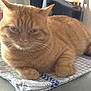 Shreck participe au concours pour gagner de l'argent avec cette photo :