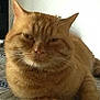 Shreck participe au concours pour gagner de l'argent avec cette photo :