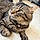 Tiny Tigger