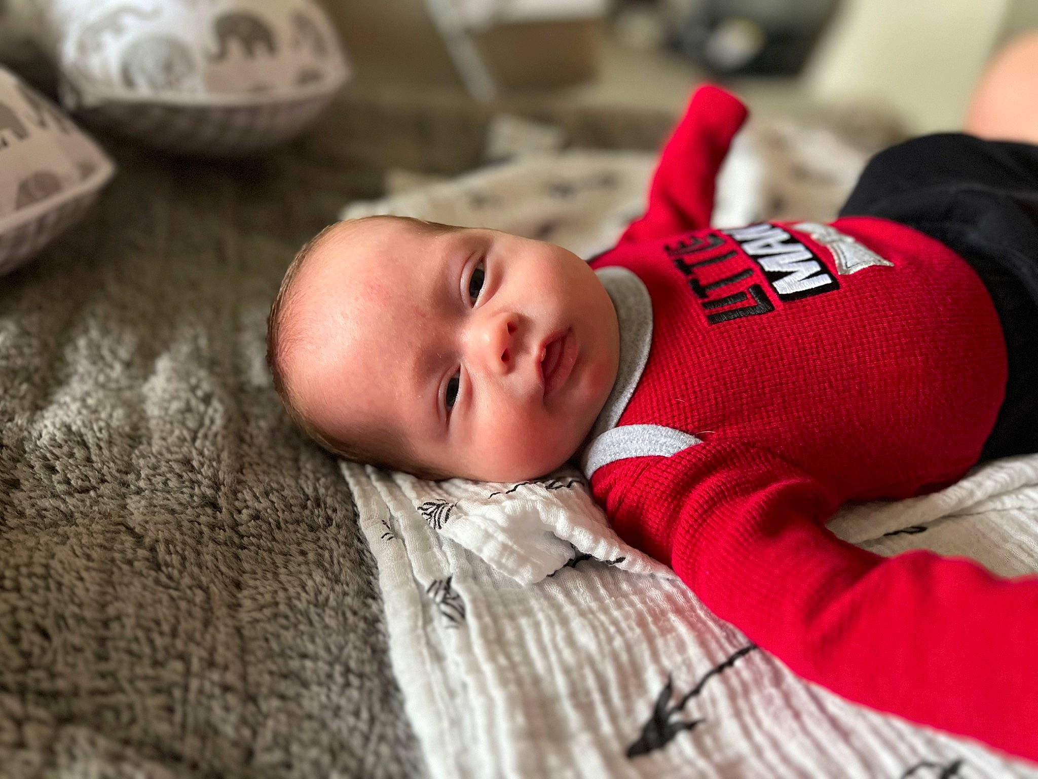 Luca is registered to the contest to win money with this photo: baby, baby_products, baby_toddler_clothing, carmine, cheek, child, comfort, flooring, happy, linens, lip, mouth, nose, person, sitting, skin, smile, textile, toddler, tree