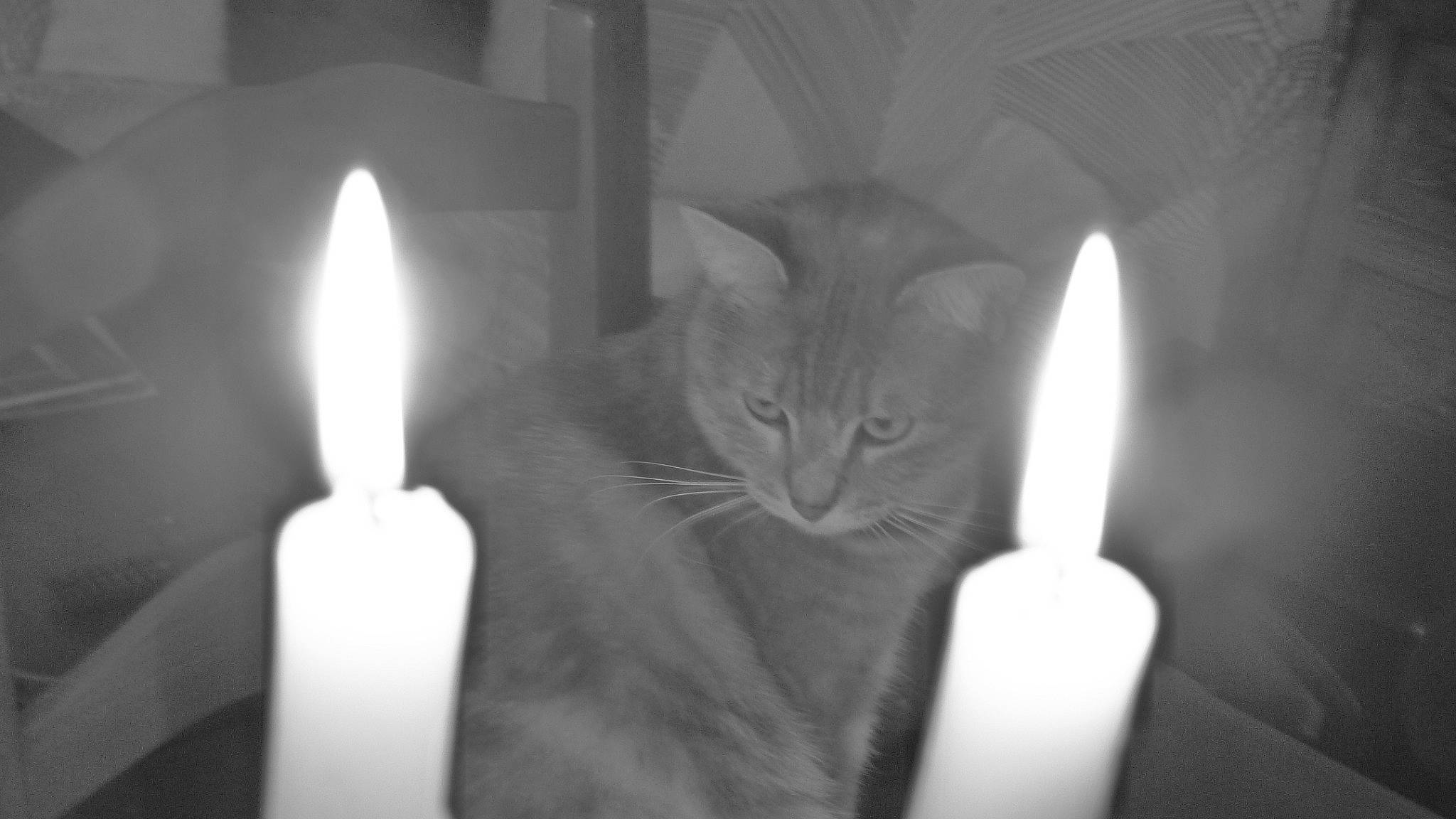 Isis a rejoint le concours — aidez-le/la à gagner de superbes lots ! black, black_and_white, candle, darkness, event, finger, fire, flame, gesture, hand, heat, interior_design, light, monochrome, monochrome_photography, room, still_life_photography, style, wax, white