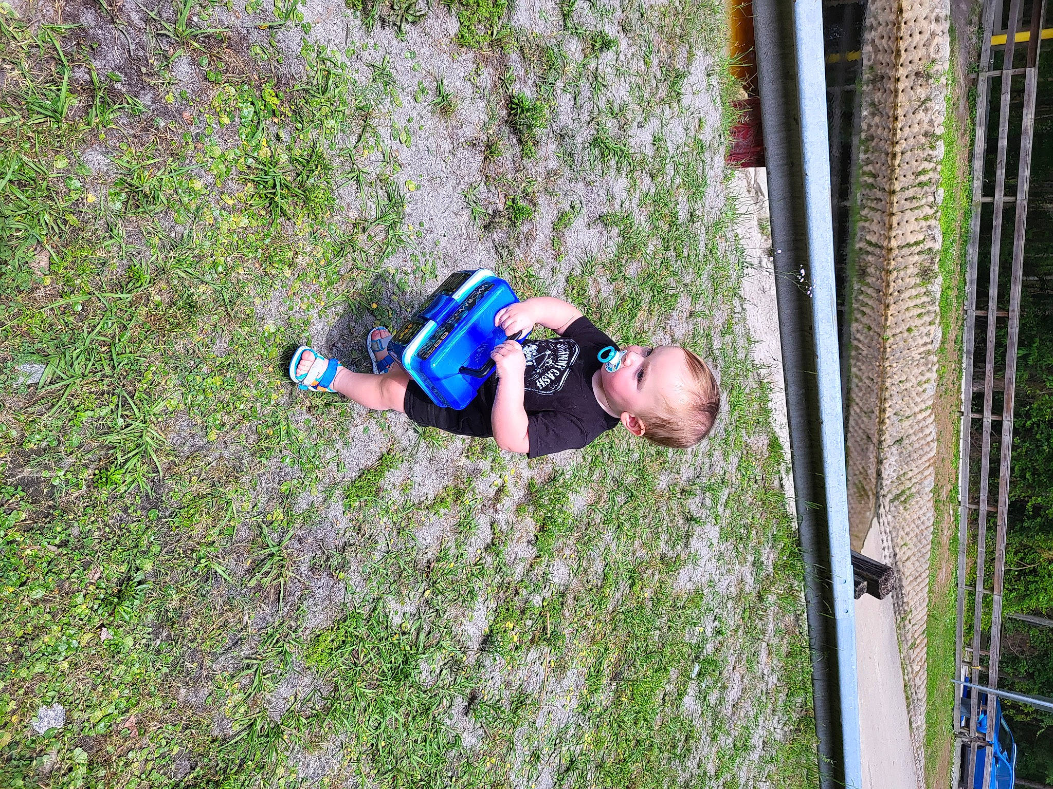 Mark joined the competition — help win amazing prizes! child, electric_blue, fence, fun, grass, grass_family, grassland, groundcover, landscape, lawn, leisure, mesh, people_in_nature, person, plant, recreation, shrub, t_shirt, toddler, tree