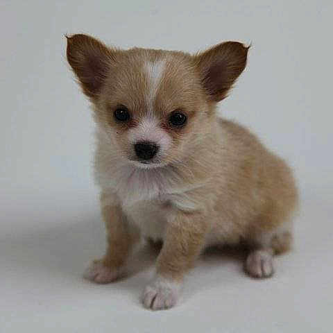 Bella Marie is registered to the contest to win money with this photo: