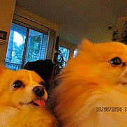 Bella Marie is registered to the contest to win money with this photo: