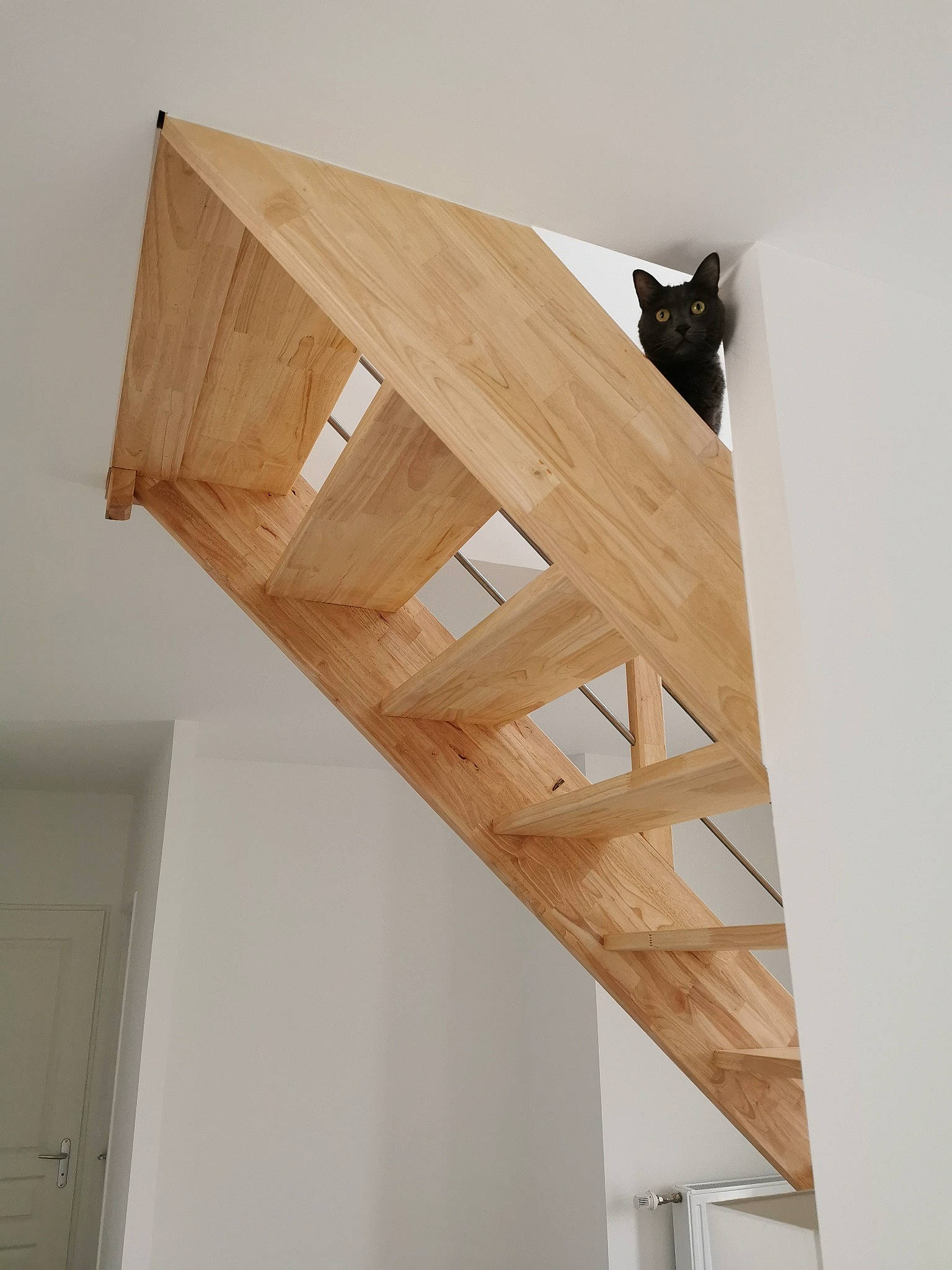 Juny a rejoint le concours — aidez-le/la à gagner de superbes lots ! beam, building, ceiling, ceiling_fixture, door, fixture, flooring, hardwood, house, lumber, pattern, plank, plywood, rectangle, roof, shelf, shelving, window, wood, wood_stain