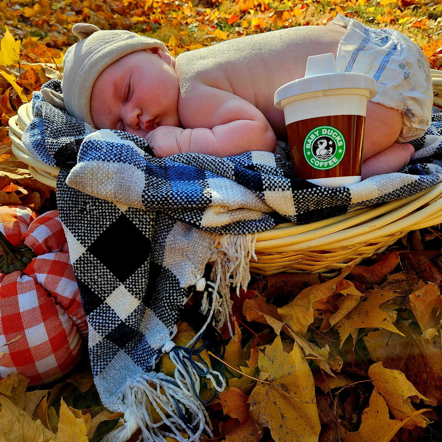 Melody joined the competition — help win amazing prizes! baby, baseball, baseballglove, basket, blanket, clothing, cup, disposablecup, face, glove, head, leaf, newborn, person, photography, plant, portrait, quilt, sleeping, tree
