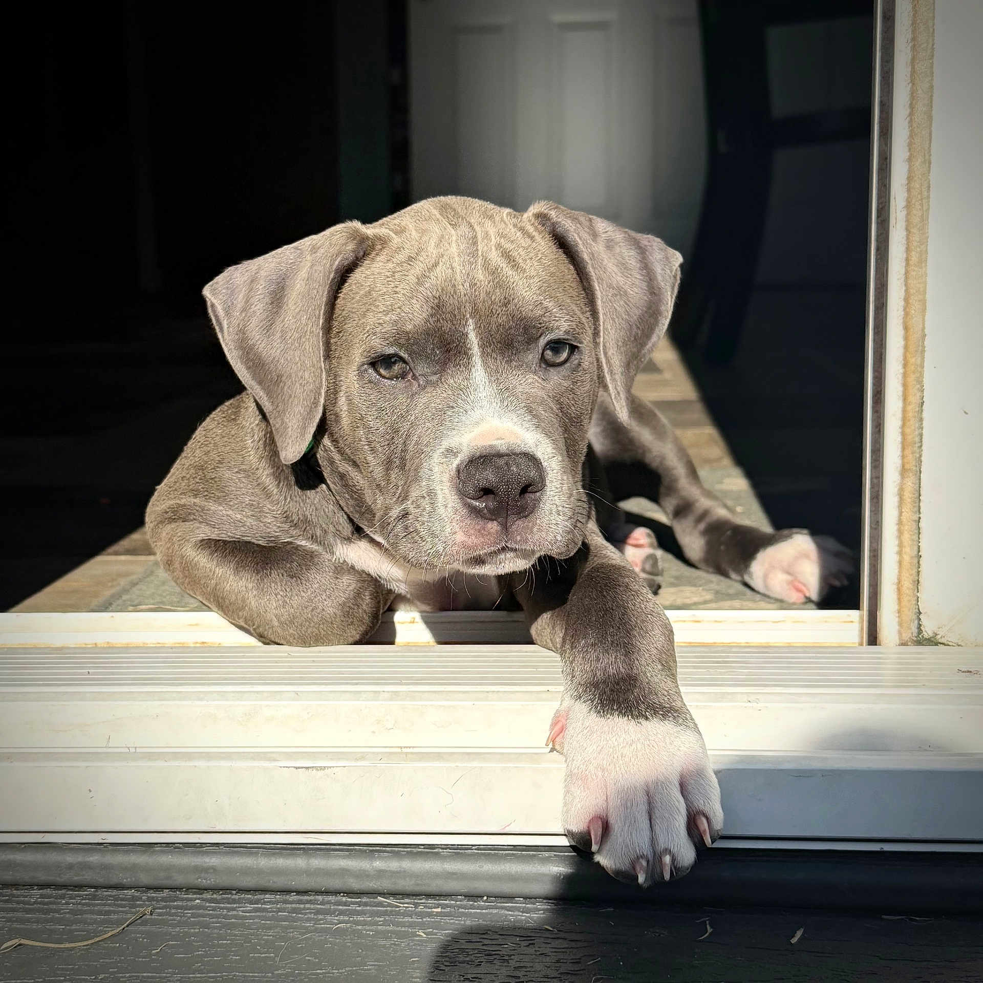 Remi