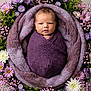 Lilith joined the competition — help win amazing prizes! baby, newborn, infant, swaddle, purple, blanket, flowers, floral_wreath, portrait, face, head, eyes, cozy, studio_photography, prop, soft_texture, pink, greenery, chrysanthemum, neutral_background