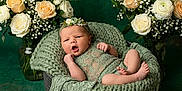 Lilith is registered to the contest to win money with this photo: baby, newborn, infant, portrait, flower_crown, headband, lace, blanket, basket, roses, baby_breath, floral_arrangement, green_background, studio_photography, cozy, posing, small_feet, cherubic, peaceful, props