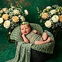 baby, newborn, infant, portrait, flower_crown, headband, lace, blanket, basket, roses, baby_breath, floral_arrangement, green_background, studio_photography, cozy, posing, small_feet, cherubic, peaceful, props