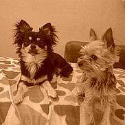 Haribo a rejoint le concours — aidez-le/la à gagner de superbes lots !