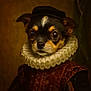 dog, portrait, costume, renaissance, ruffled_collar, hat, brown, black, pet, face, closeup, animal, studio, vintage_style, clothing, buttoned_jacket, expression, indoor, fur, ears