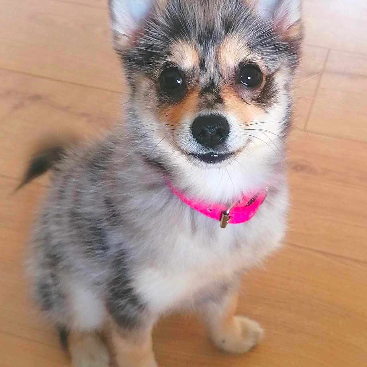 Timba