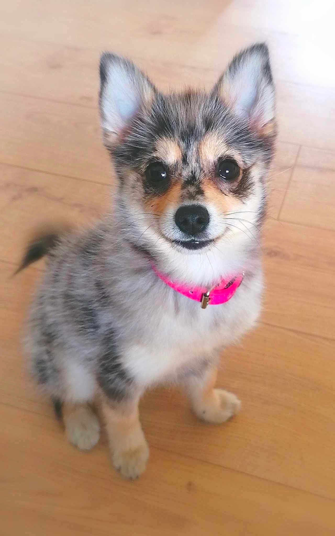 Timba