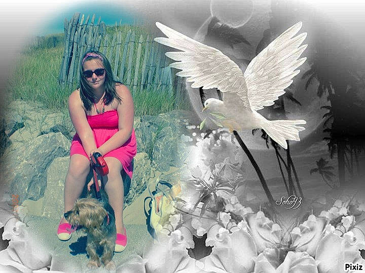 Pollux participe au concours pour gagner de l'argent avec cette photo : art, beak, cg_artwork, eyewear, feather, fictional_character, fun, glasses, goggles, grass, happy, illustration, morning, nature, painting, people_in_nature, petal, plant, sunglasses, wing