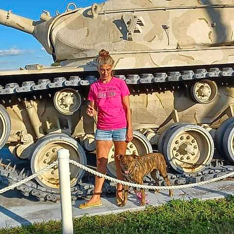 Scarlet joined the competition — help win amazing prizes! auto_part, automotive_tire, automotive_wheel_system, combat_vehicle, engineering, fun, mammal, motor_vehicle, people, plant, rolling, self_propelled_artillery, shorts, sky, t_shirt, tank, tire, travel, vehicle, wheel