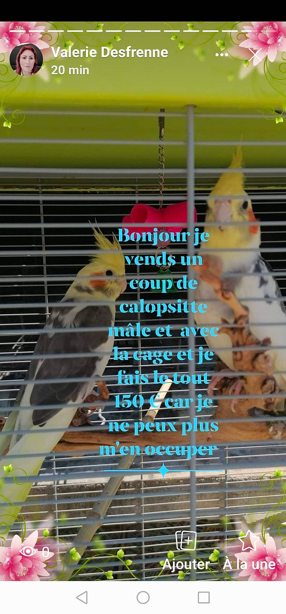 Roméo Et Juliette a rejoint le concours — aidez-le/la à gagner de superbes lots ! beak, bird, bird_supply, budgie, cage, cockatiel, cockatoo, lovebird, parakeet, parrot, perico, pet_supply, tail