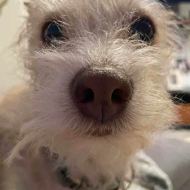 Leroy