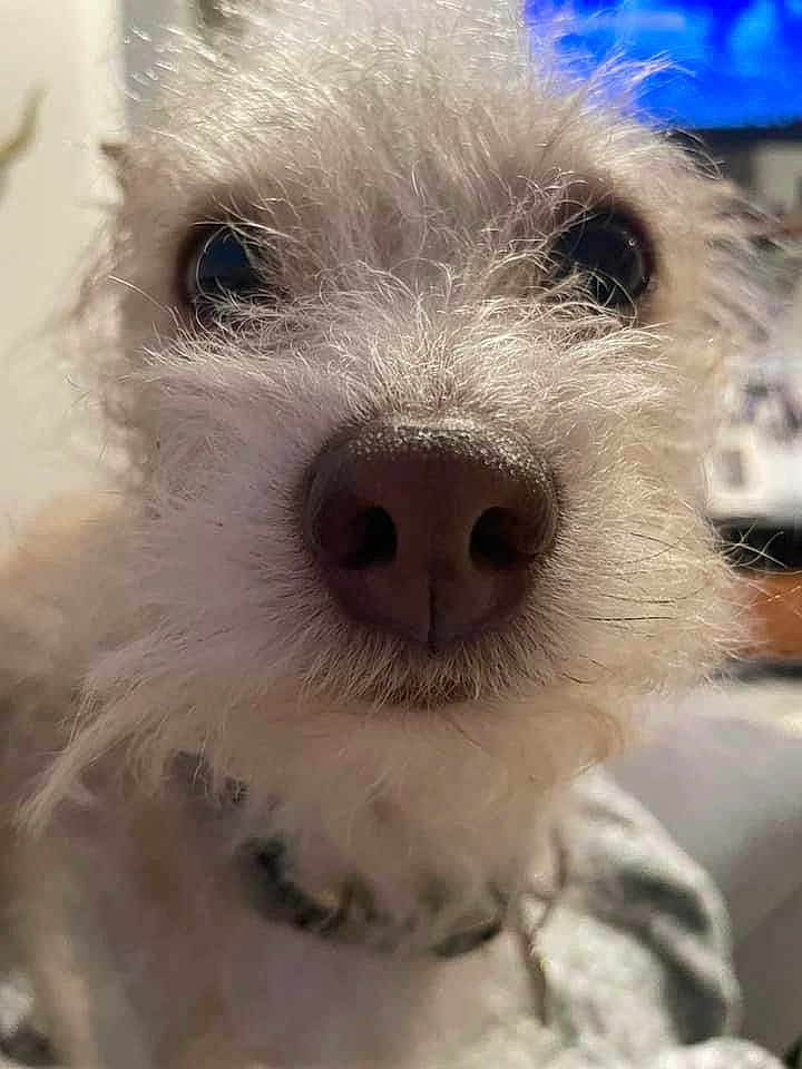 Leroy
