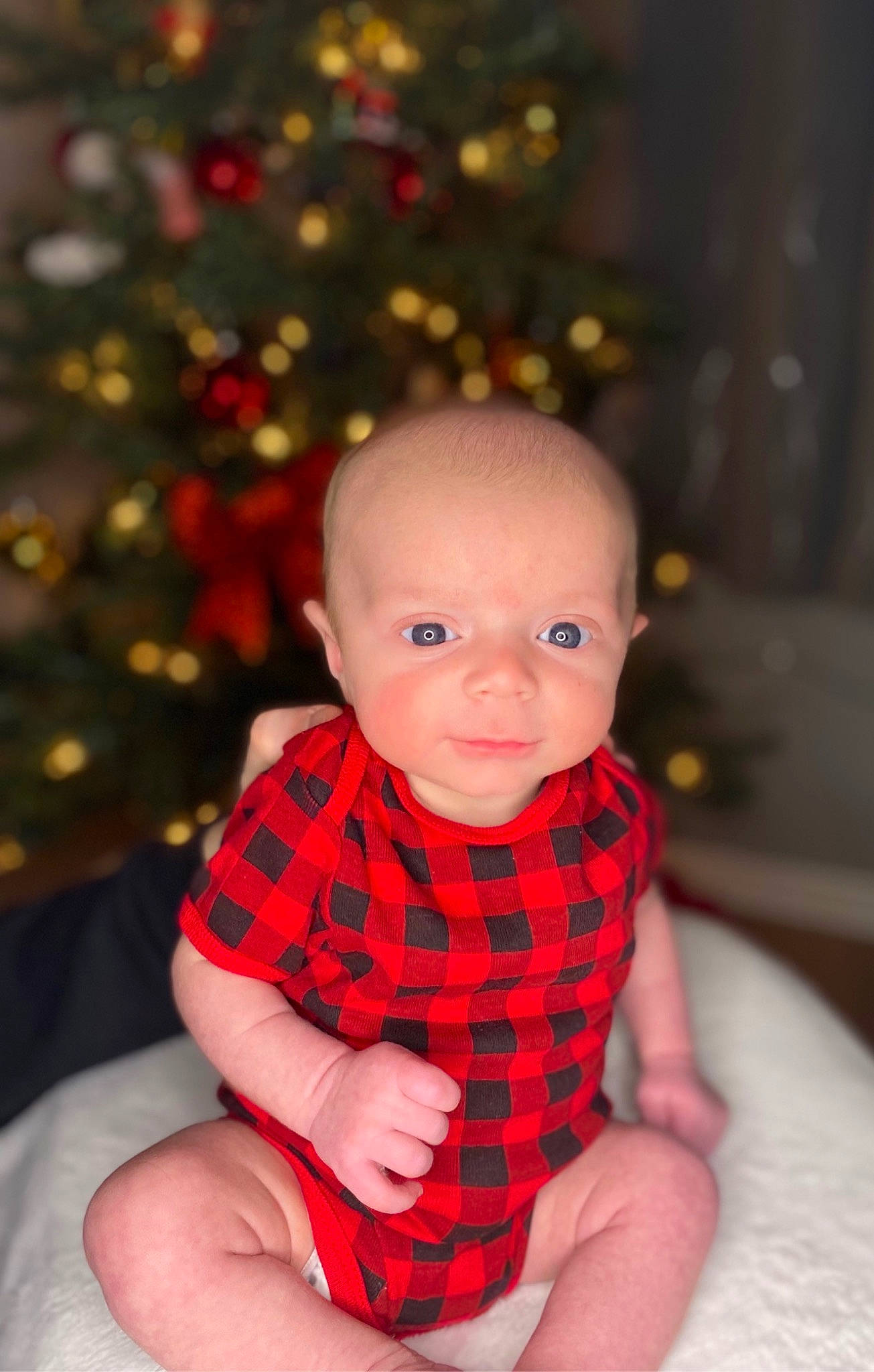 Dexter joined the competition — help win amazing prizes! baby, baby_toddler_clothing, christmas_tree, dress, eye, face, happy, head, human_body, lip, ornament, outerwear, person, red, skin, sleeve, thigh, toddler, tree, trunk
