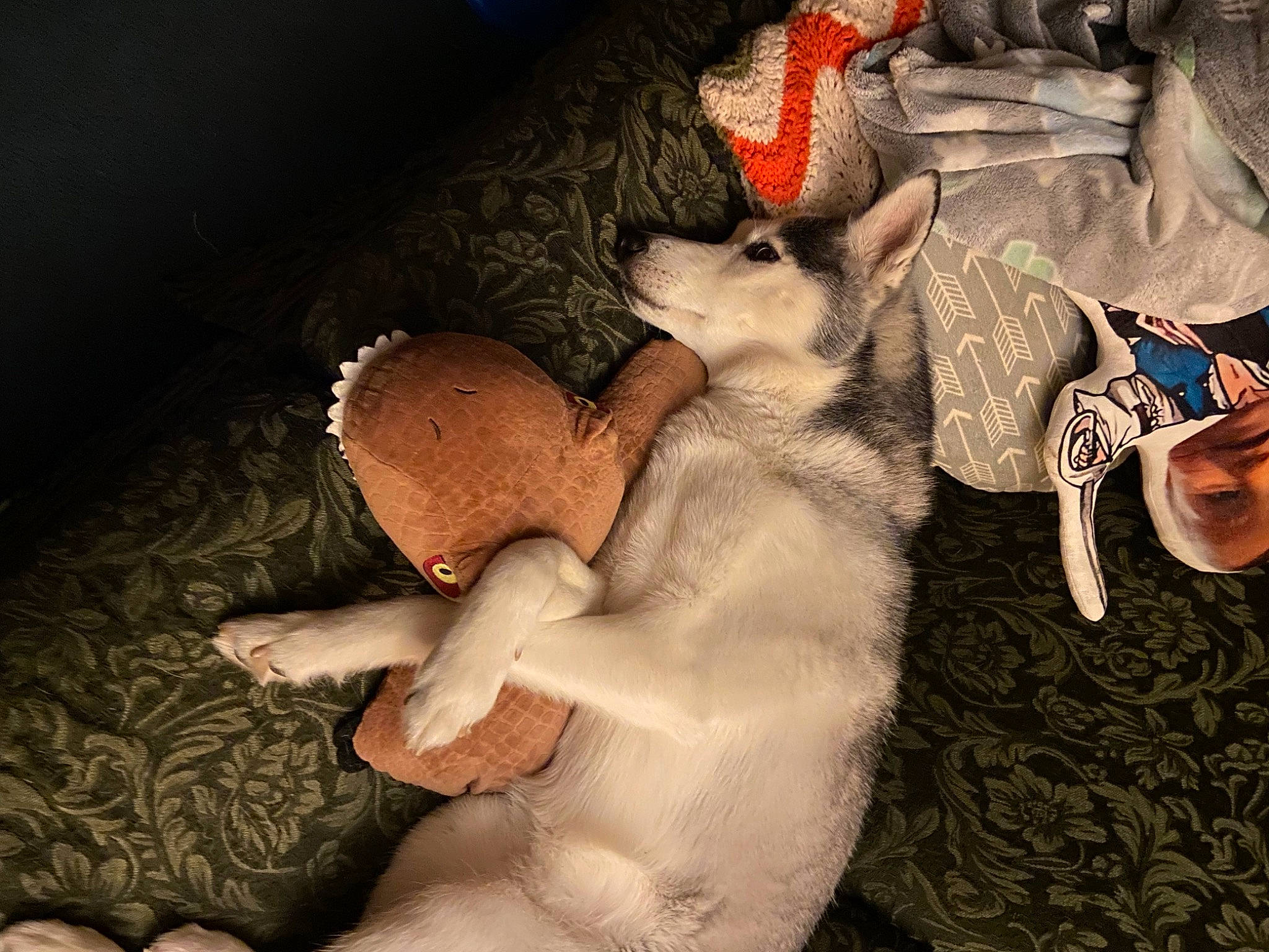 Eliza is registered to the contest to win money with this photo: art, canidae, carnivore, comfort, companion_dog, dog_breed, fawn, felidae, fictional_character, flash_photography, flesh, foot, fur, human_leg, painting, paw, small_to_medium_sized_cats, tail, visual_arts, whiskers