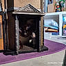 background_objects, black_and_white_cat, blue_eyes, books, cat, close_up, curious, decor, face, figurine, indoor, miniature_fireplace, model_building, pet, playful, shelf, sitting, small_space, table_surface, toy_mouse