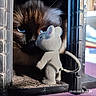 Azure a rejoint le concours — aidez-le/la à gagner de superbes lots ! animal, blurred_background, cat, close_up, contrast, curious, eyes, feline, focus, furry, indoor, intense, narrow_space, playful, predator, prey, shadow, soft_toy, texture, toy_mouse
