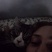Riggs is registered to the contest to win money with this photo: cat, person, face, sleeping, tabby_cat, close_up, indoor, pillow, pattern, snuggling, cozy, dim_light, relaxation, companion, animal, pet, portrait, whiskers, fur, eyelashes