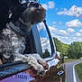 canine, car, clouds, collar, daytime, dog, nature, outdoor, paw, reflection, road, roadside, scenery, sky, sunny, transportation, travel, trees, vehicle, window