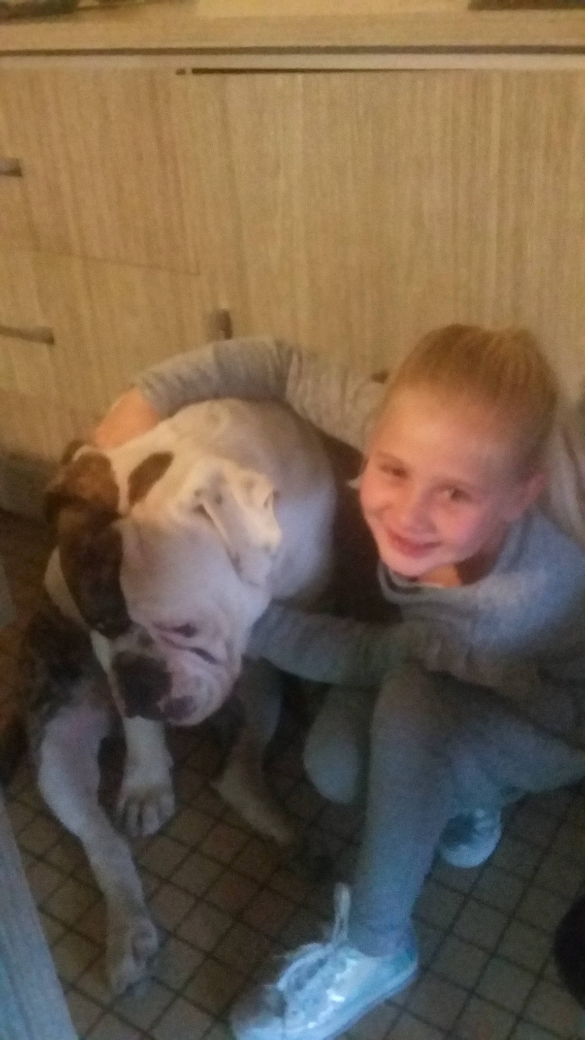 Maïwenn participe au concours pour gagner de l'argent avec cette photo : american_bulldog, bulldog, carnivoran, dog, dog_breed, dog_breed_group, dog_like_mammal, fawn, joy, mammal, non_sporting_group, old_english_bulldog, olde_english_bulldogge, person, puppy, snout, toy_bulldog, vertebrate